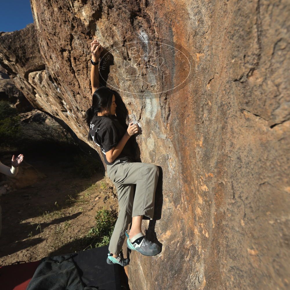 

Filename: SRM_20251109_1547220.jpg
Aperture: f/5.6
Shutter Speed: 1/2000
Body: Canon EOS R6
Lens: Canon EF 16-35mm f/2.8 L