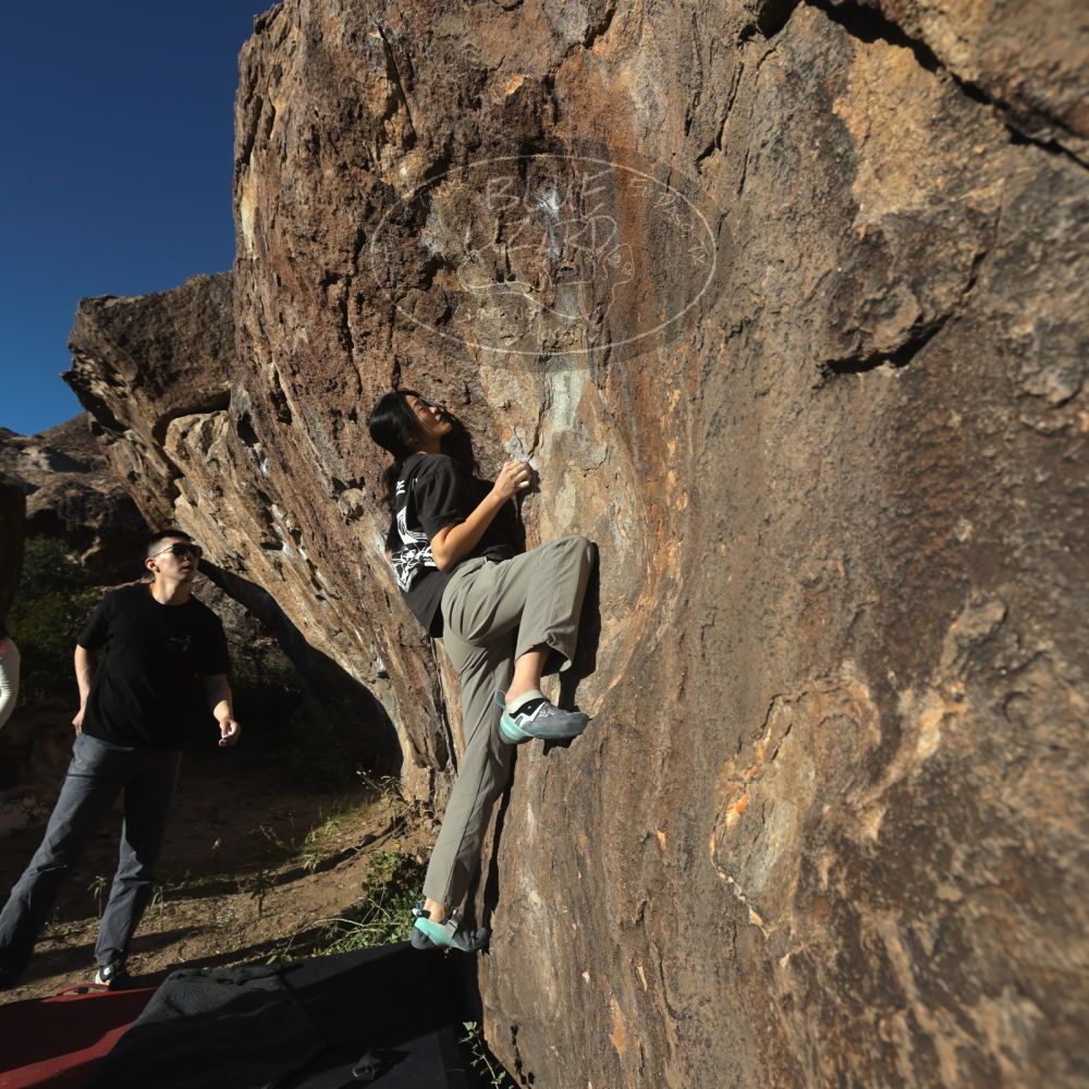 

Filename: SRM_20251109_1551000.jpg
Aperture: f/5.6
Shutter Speed: 1/2000
Body: Canon EOS R6
Lens: Canon EF 16-35mm f/2.8 L