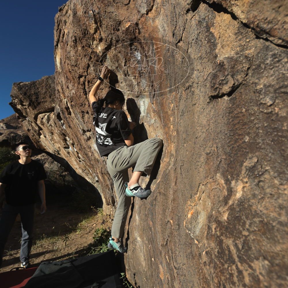 

Filename: SRM_20251109_1551070.jpg
Aperture: f/5.6
Shutter Speed: 1/2000
Body: Canon EOS R6
Lens: Canon EF 16-35mm f/2.8 L