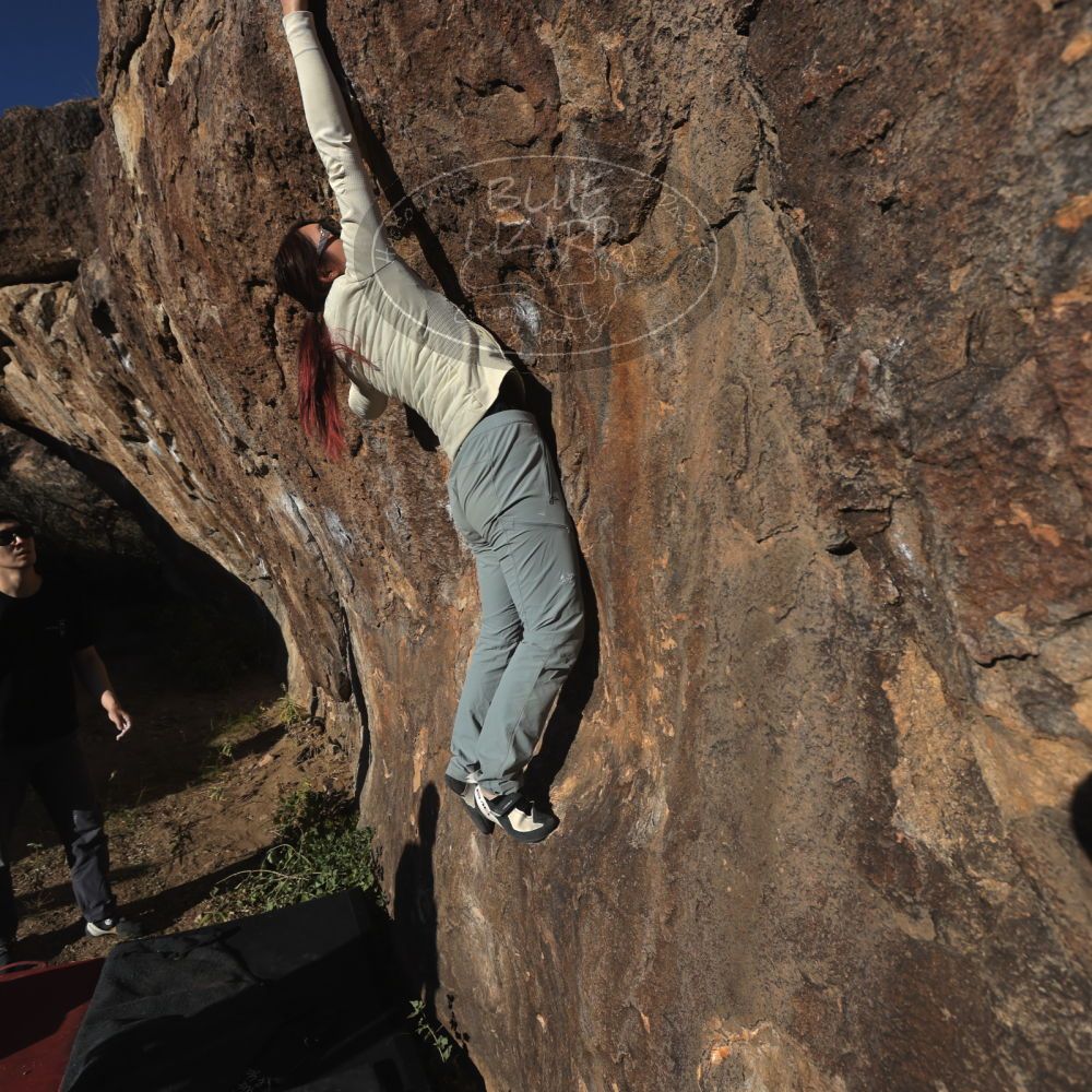 

Filename: SRM_20251109_1552430.jpg
Aperture: f/5.6
Shutter Speed: 1/2000
Body: Canon EOS R6
Lens: Canon EF 16-35mm f/2.8 L