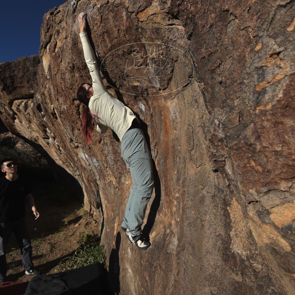 

Filename: SRM_20251109_1552431.jpg
Aperture: f/5.6
Shutter Speed: 1/2000
Body: Canon EOS R6
Lens: Canon EF 16-35mm f/2.8 L