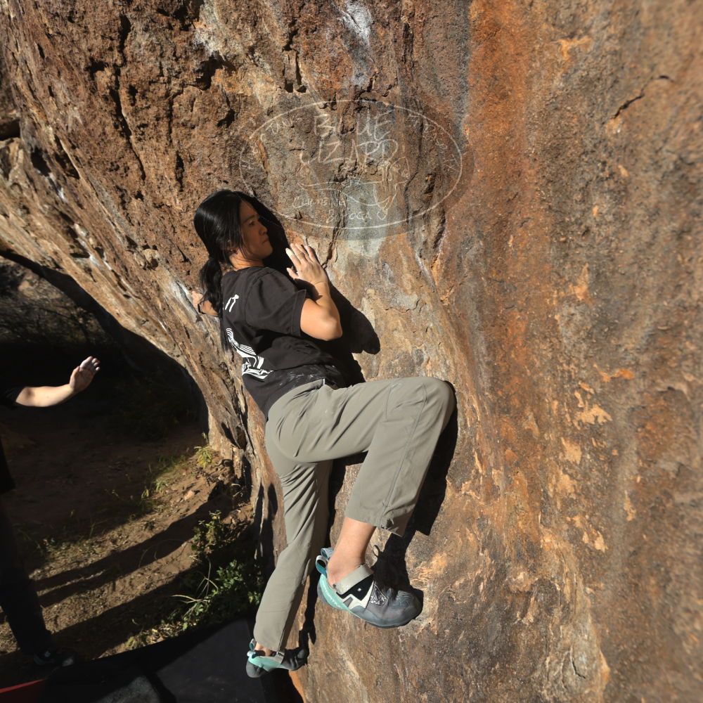 

Filename: SRM_20251109_1554200.jpg
Aperture: f/5.6
Shutter Speed: 1/2000
Body: Canon EOS R6
Lens: Canon EF 16-35mm f/2.8 L