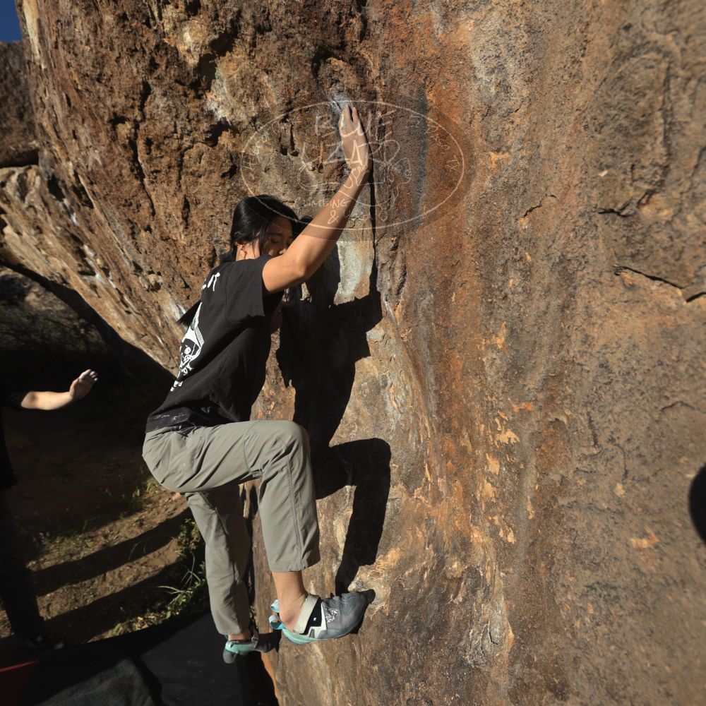 

Filename: SRM_20251109_1554310.jpg
Aperture: f/5.6
Shutter Speed: 1/2000
Body: Canon EOS R6
Lens: Canon EF 16-35mm f/2.8 L