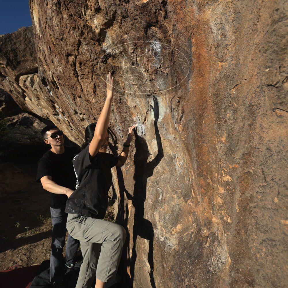 

Filename: SRM_20251109_1556510.jpg
Aperture: f/5.6
Shutter Speed: 1/2000
Body: Canon EOS R6
Lens: Canon EF 16-35mm f/2.8 L