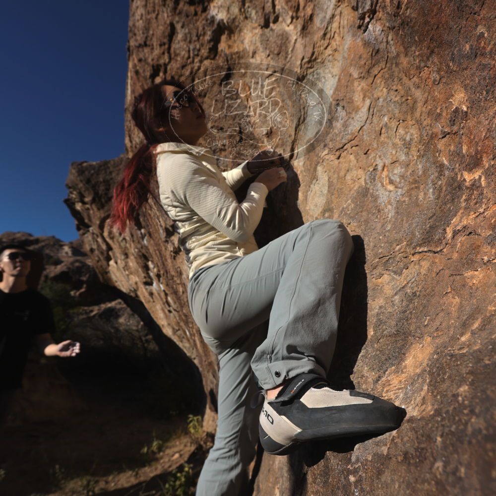 

Filename: SRM_20251109_1557330.jpg
Aperture: f/5.6
Shutter Speed: 1/2000
Body: Canon EOS R6
Lens: Canon EF 16-35mm f/2.8 L