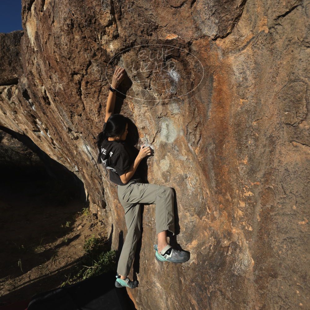 

Filename: SRM_20251109_1601100.jpg
Aperture: f/5.6
Shutter Speed: 1/2000
Body: Canon EOS R6
Lens: Canon EF 16-35mm f/2.8 L