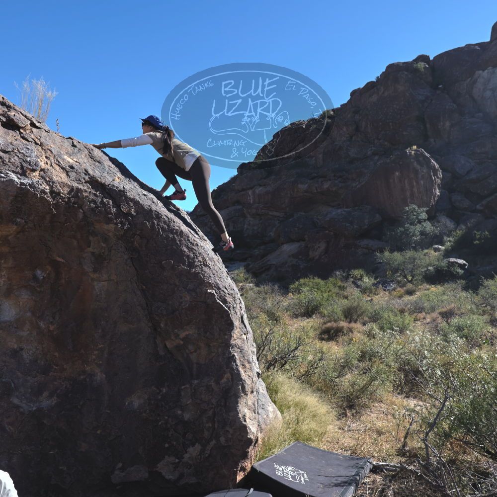 

Filename: SRM_20251110_1044510.jpg
Aperture: f/5.6
Shutter Speed: 1/1000
Body: Canon EOS R6
Lens: Canon EF 16-35mm f/2.8 L