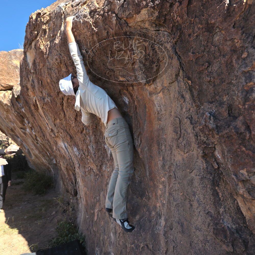 

Filename: SRM_20251110_1048330.jpg
Aperture: f/5.6
Shutter Speed: 1/1000
Body: Canon EOS R6
Lens: Canon EF 16-35mm f/2.8 L