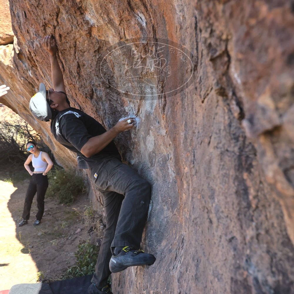 

Filename: SRM_20251110_1050360.jpg
Aperture: f/5.6
Shutter Speed: 1/1000
Body: Canon EOS R6
Lens: Canon EF 16-35mm f/2.8 L