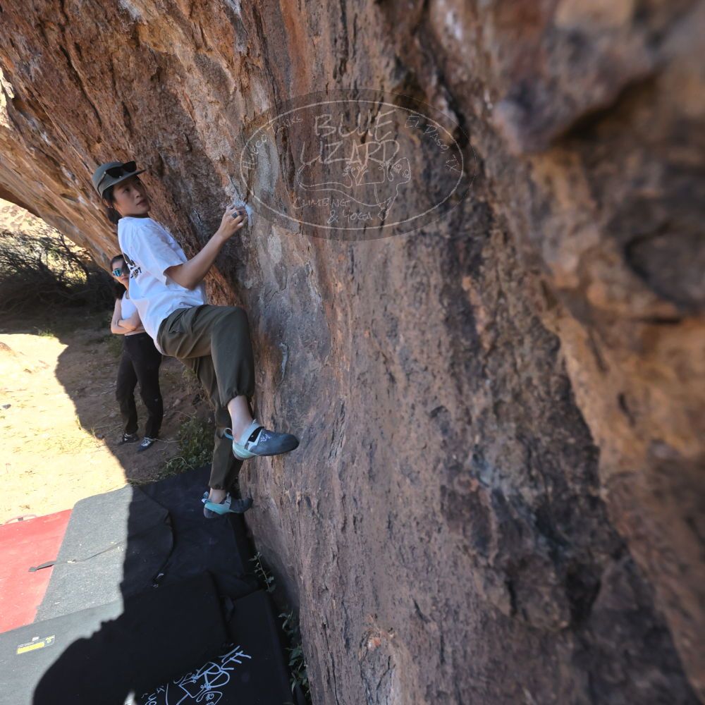 

Filename: SRM_20251110_1053240.jpg
Aperture: f/5.6
Shutter Speed: 1/1000
Body: Canon EOS R6
Lens: Canon EF 16-35mm f/2.8 L