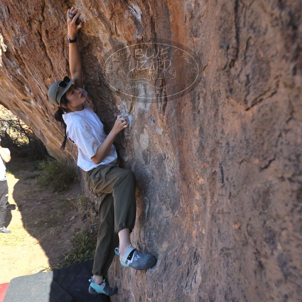 

Filename: SRM_20251110_1059070.jpg
Aperture: f/5.6
Shutter Speed: 1/1000
Body: Canon EOS R6
Lens: Canon EF 16-35mm f/2.8 L