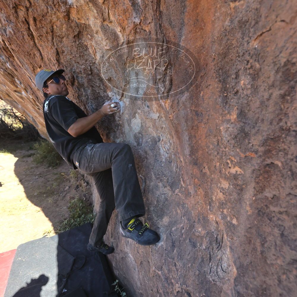 

Filename: SRM_20251110_1100560.jpg
Aperture: f/5.6
Shutter Speed: 1/1000
Body: Canon EOS R6
Lens: Canon EF 16-35mm f/2.8 L