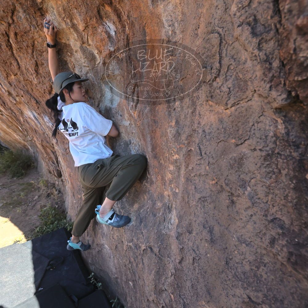 

Filename: SRM_20251110_1101360.jpg
Aperture: f/5.6
Shutter Speed: 1/1000
Body: Canon EOS R6
Lens: Canon EF 16-35mm f/2.8 L