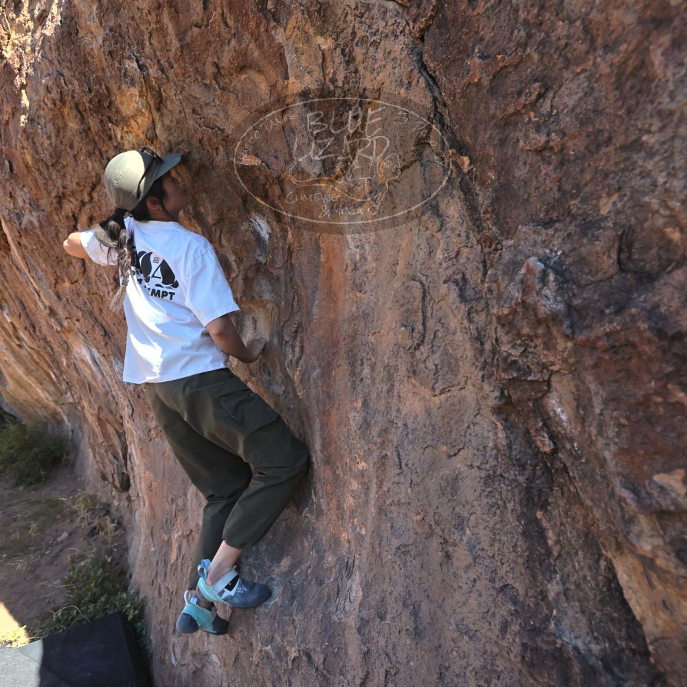 

Filename: SRM_20251110_1101510.jpg
Aperture: f/5.6
Shutter Speed: 1/1000
Body: Canon EOS R6
Lens: Canon EF 16-35mm f/2.8 L