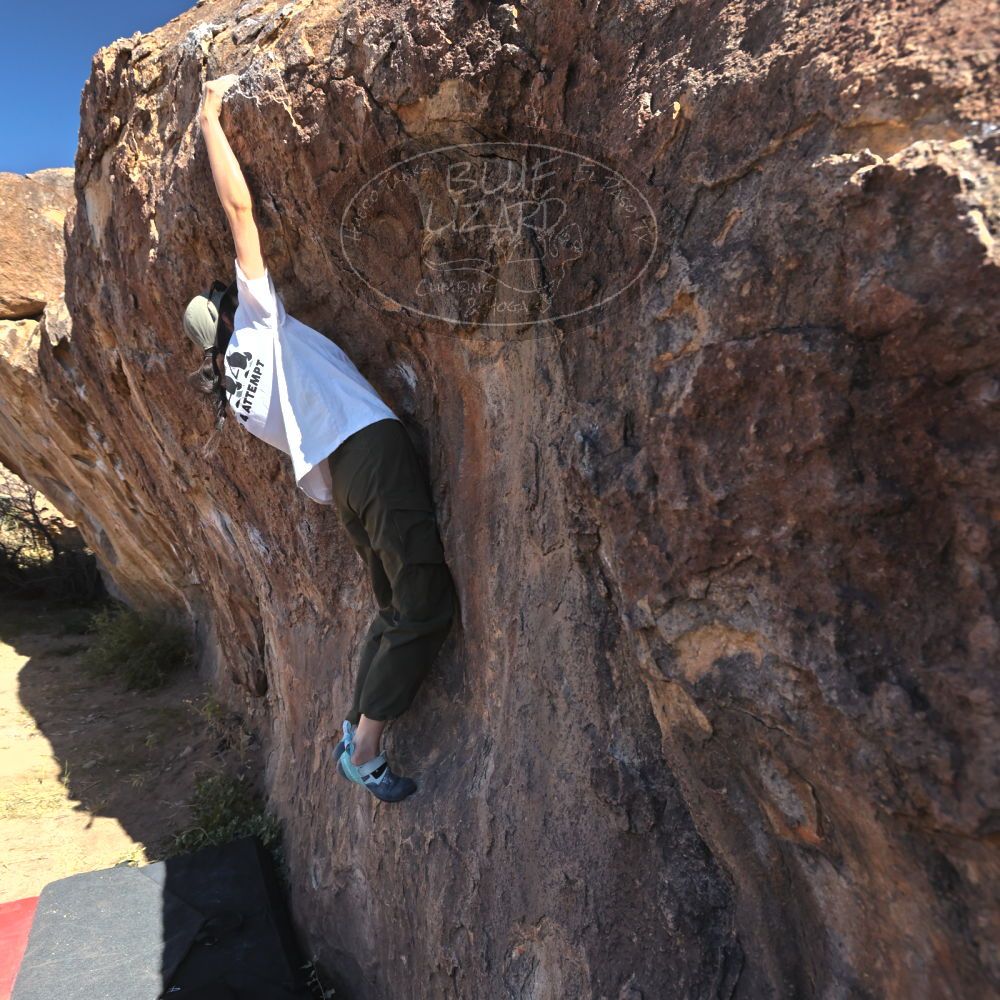 

Filename: SRM_20251110_1101570.jpg
Aperture: f/5.6
Shutter Speed: 1/1000
Body: Canon EOS R6
Lens: Canon EF 16-35mm f/2.8 L