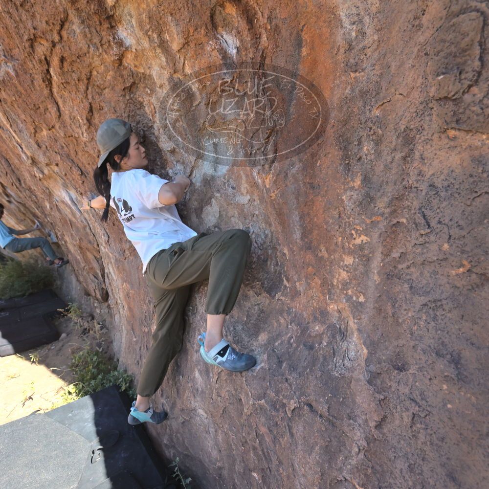 

Filename: SRM_20251110_1115400.jpg
Aperture: f/5.6
Shutter Speed: 1/1000
Body: Canon EOS R6
Lens: Canon EF 16-35mm f/2.8 L