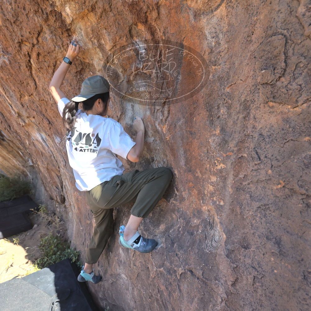 

Filename: SRM_20251110_1115470.jpg
Aperture: f/5.6
Shutter Speed: 1/1000
Body: Canon EOS R6
Lens: Canon EF 16-35mm f/2.8 L