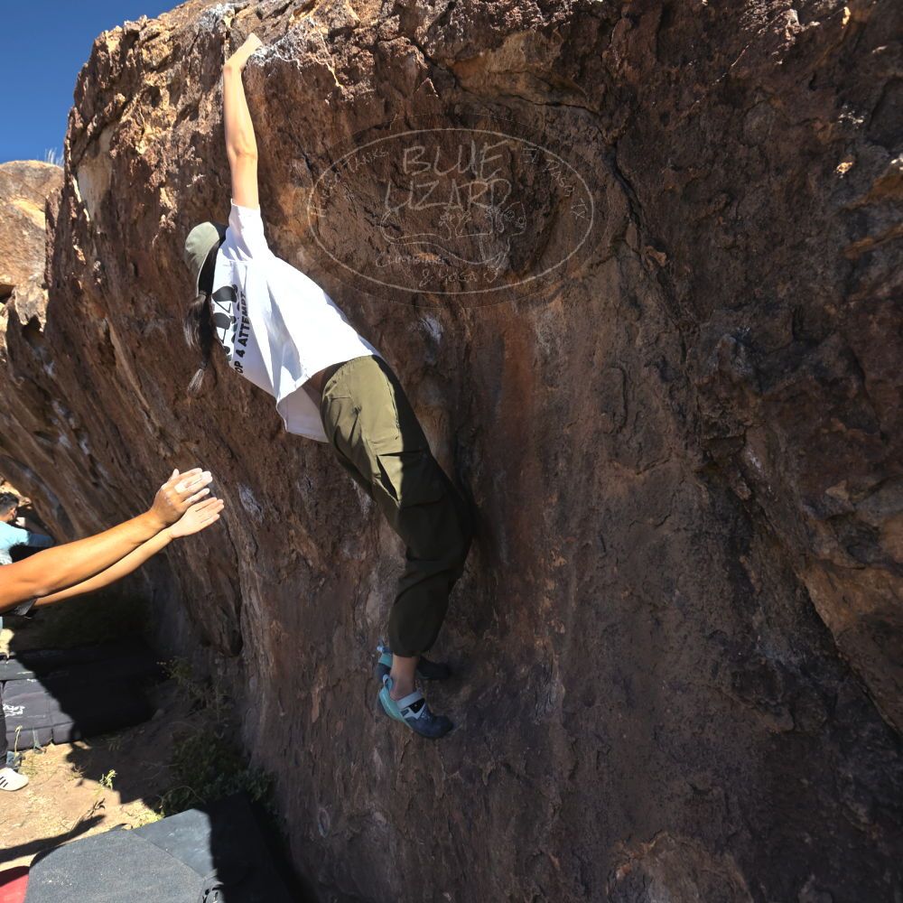 

Filename: SRM_20251110_1116030.jpg
Aperture: f/5.6
Shutter Speed: 1/1000
Body: Canon EOS R6
Lens: Canon EF 16-35mm f/2.8 L