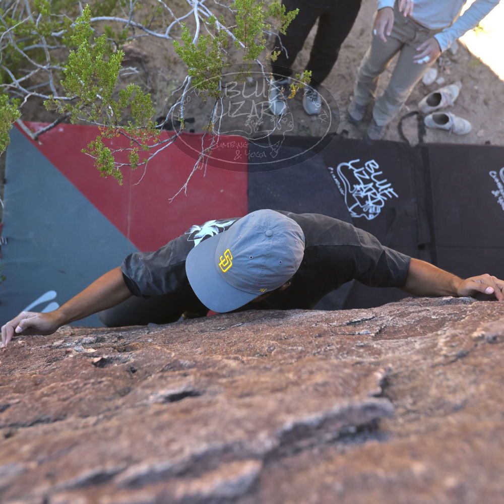 

Filename: SRM_20251110_1131280.jpg
Aperture: f/4.0
Shutter Speed: 1/500
Body: Canon EOS R6
Lens: Canon EF 16-35mm f/2.8 L