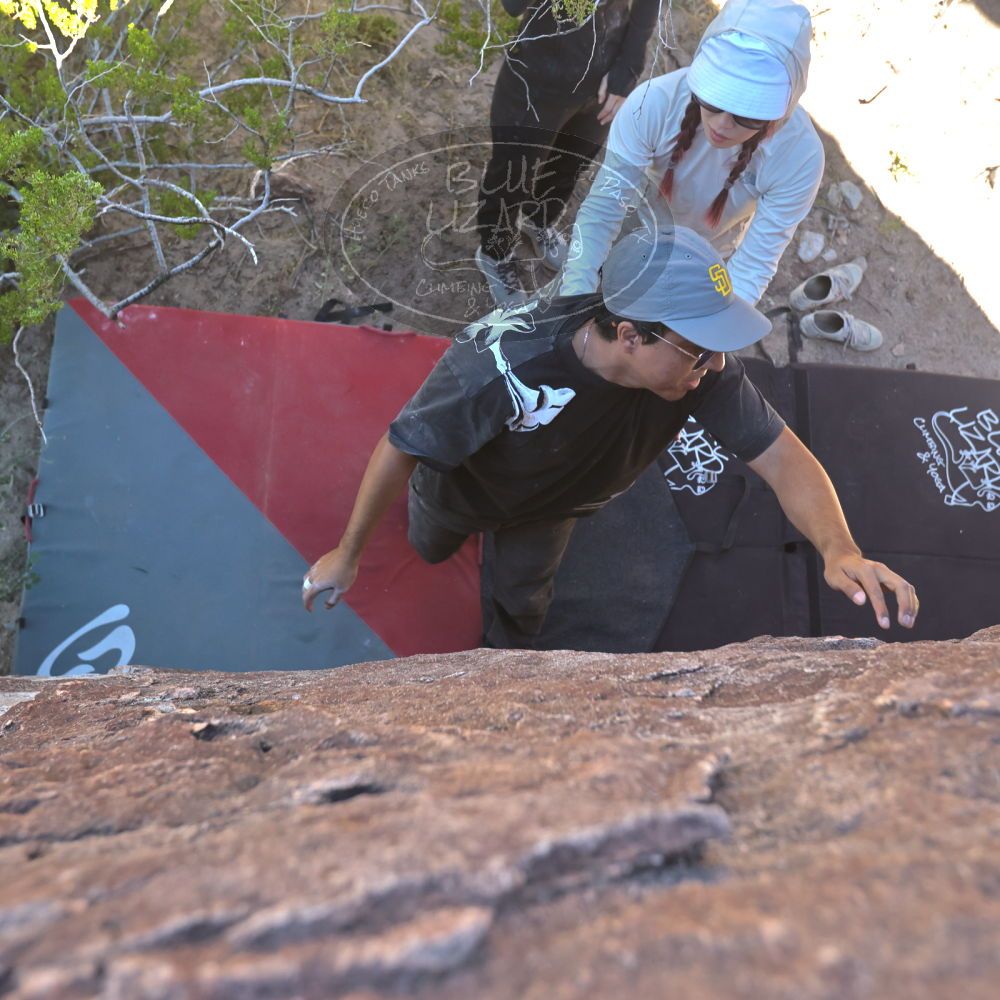 

Filename: SRM_20251110_1131500.jpg
Aperture: f/4.0
Shutter Speed: 1/500
Body: Canon EOS R6
Lens: Canon EF 16-35mm f/2.8 L