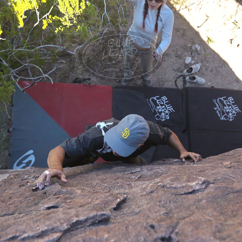 

Filename: SRM_20251110_1137051.jpg
Aperture: f/4.0
Shutter Speed: 1/500
Body: Canon EOS R6
Lens: Canon EF 16-35mm f/2.8 L