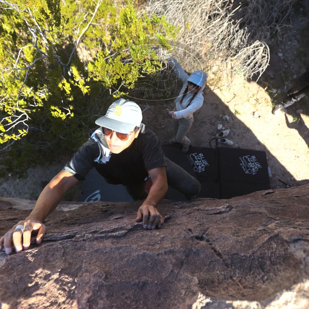 

Filename: SRM_20251110_1137141.jpg
Aperture: f/4.0
Shutter Speed: 1/500
Body: Canon EOS R6
Lens: Canon EF 16-35mm f/2.8 L