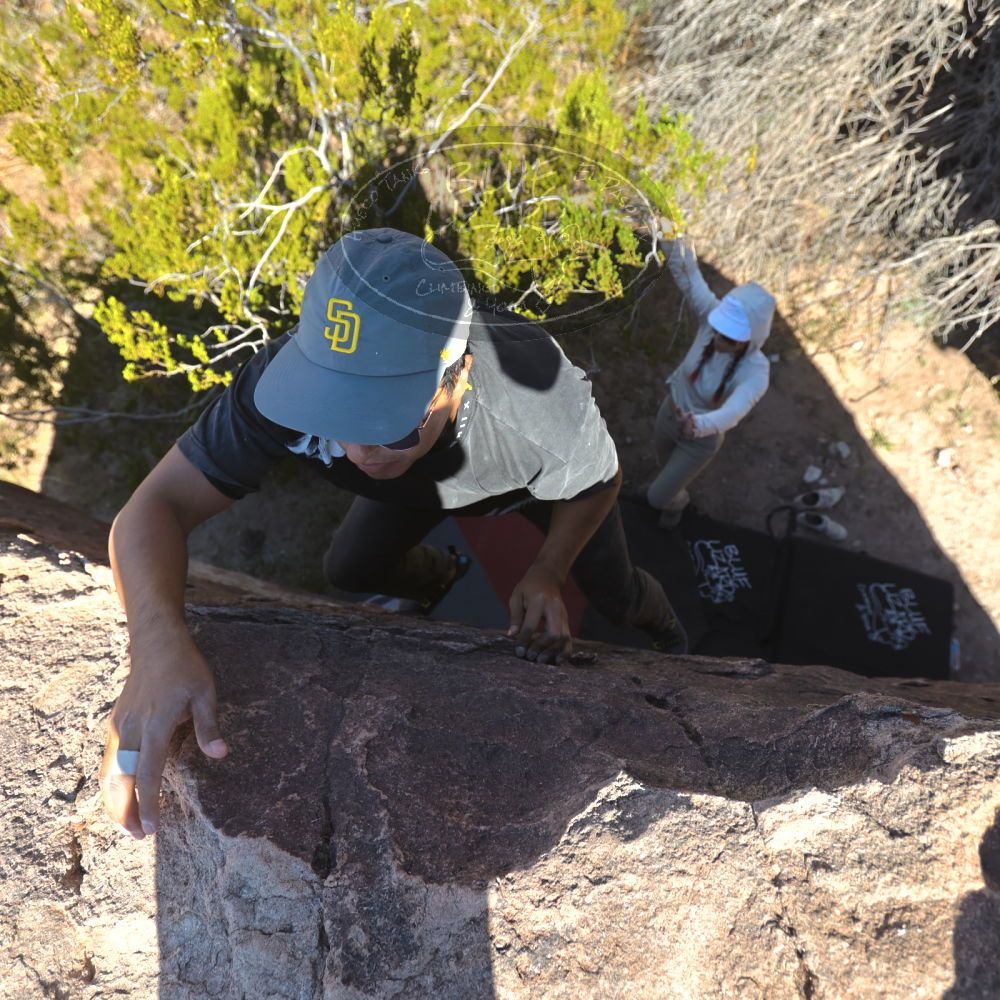 

Filename: SRM_20251110_1137200.jpg
Aperture: f/4.0
Shutter Speed: 1/500
Body: Canon EOS R6
Lens: Canon EF 16-35mm f/2.8 L