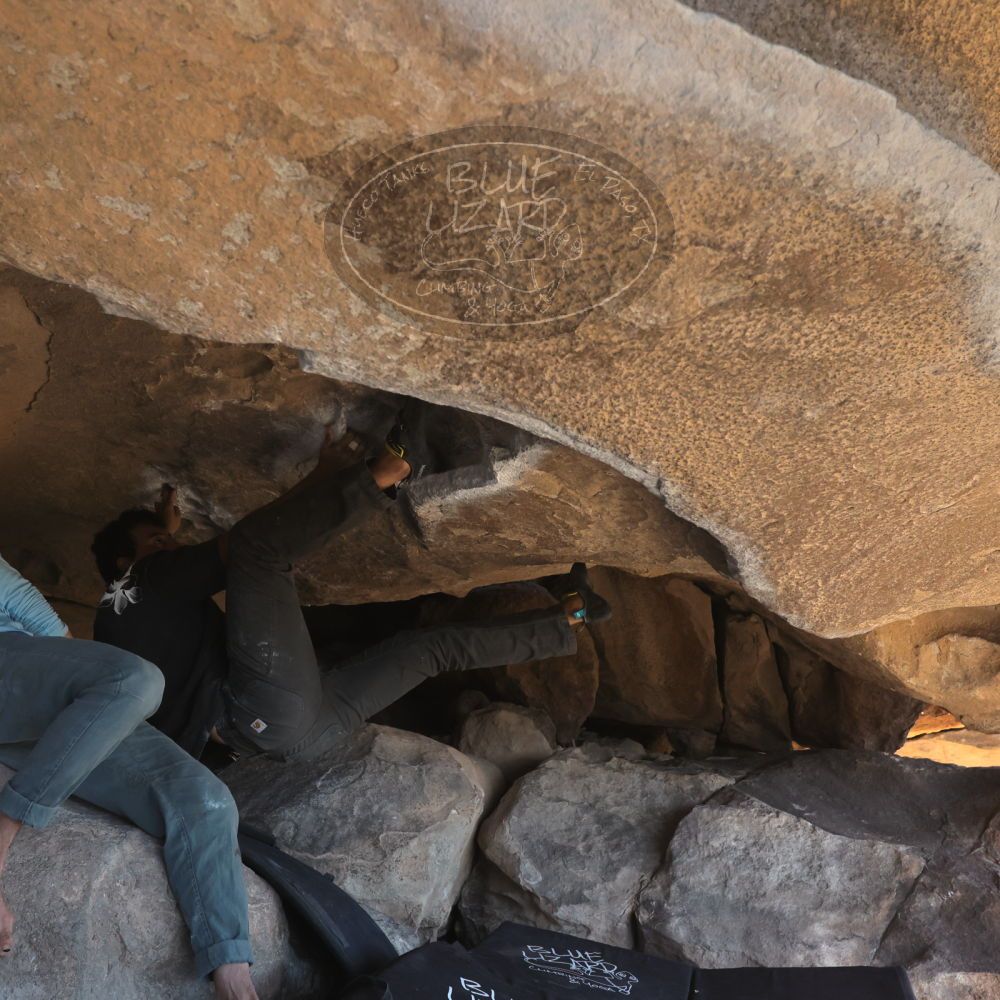 

Filename: SRM_20251110_1304210.jpg
Aperture: f/5.6
Shutter Speed: 1/500
Body: Canon EOS R6
Lens: Canon EF 16-35mm f/2.8 L