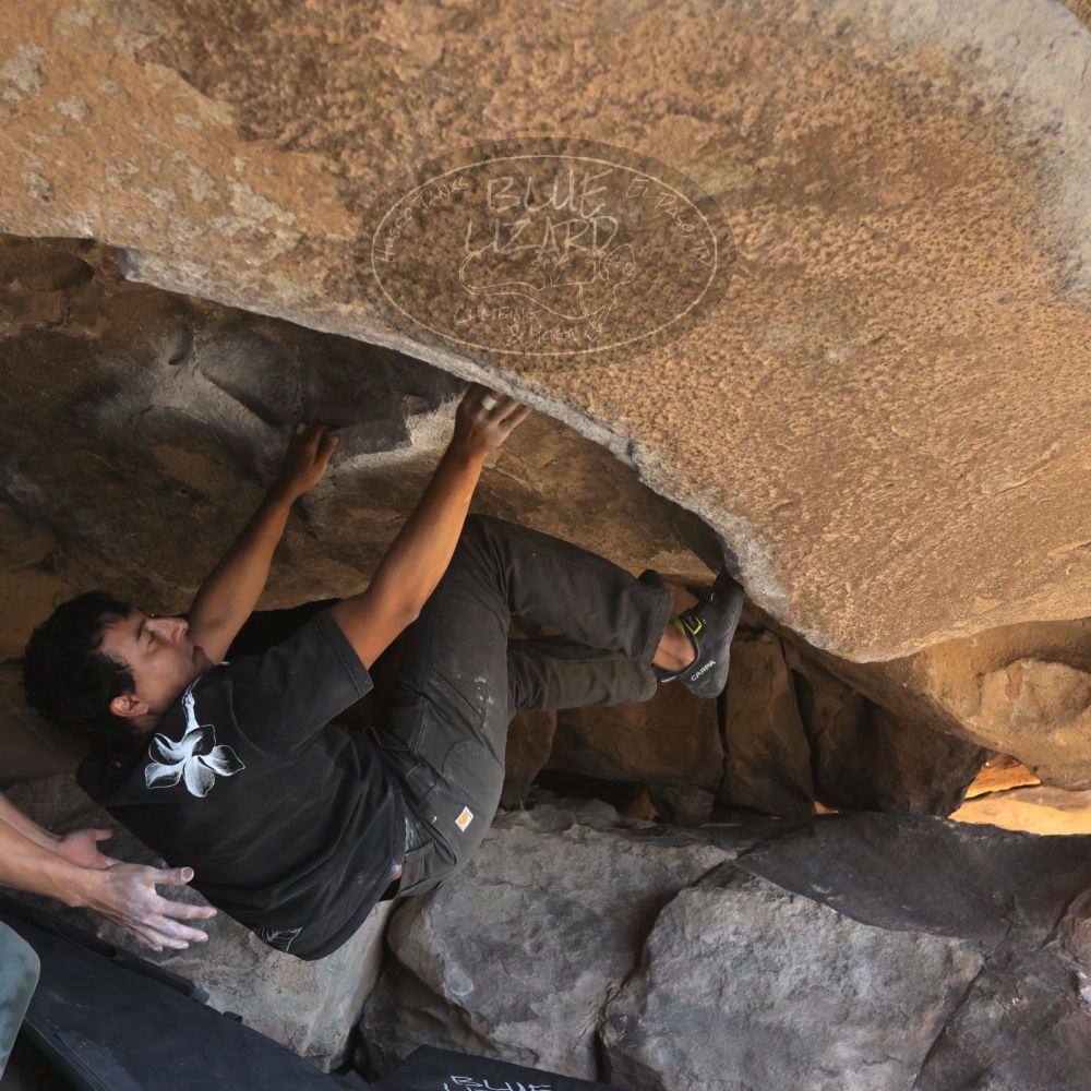 

Filename: SRM_20251110_1304280.jpg
Aperture: f/5.6
Shutter Speed: 1/500
Body: Canon EOS R6
Lens: Canon EF 16-35mm f/2.8 L