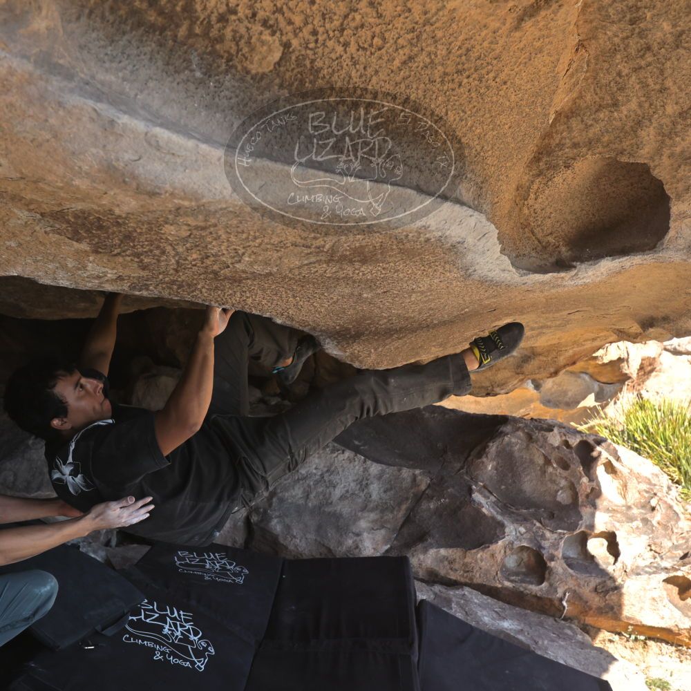 

Filename: SRM_20251110_1304360.jpg
Aperture: f/5.6
Shutter Speed: 1/500
Body: Canon EOS R6
Lens: Canon EF 16-35mm f/2.8 L