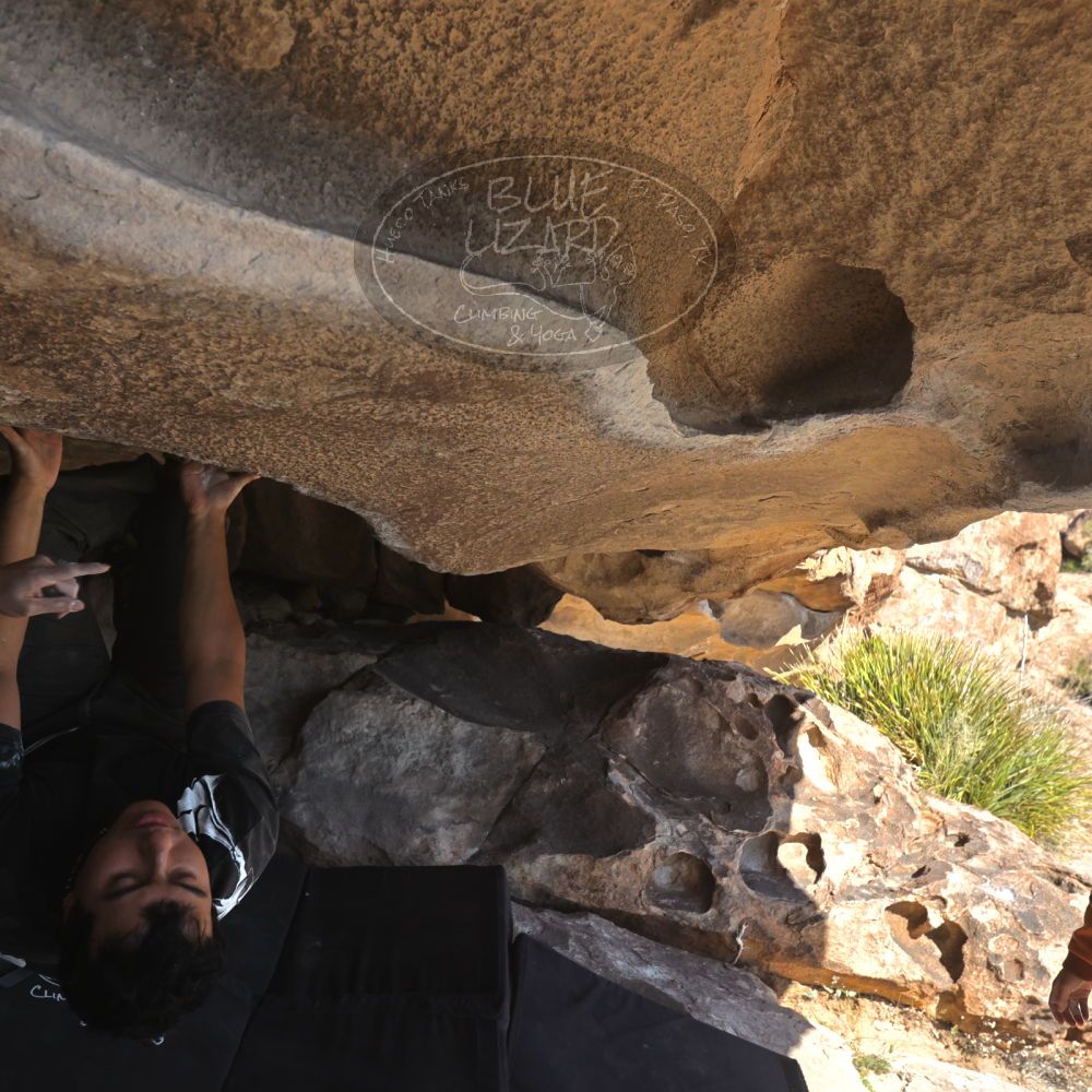 

Filename: SRM_20251110_1304550.jpg
Aperture: f/5.6
Shutter Speed: 1/500
Body: Canon EOS R6
Lens: Canon EF 16-35mm f/2.8 L