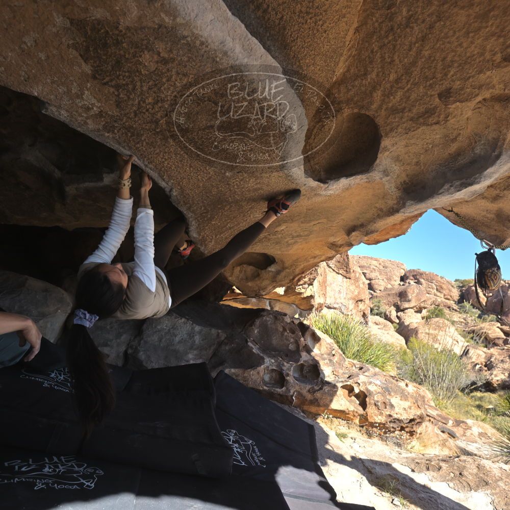 

Filename: SRM_20251110_1323050.jpg
Aperture: f/5.6
Shutter Speed: 1/500
Body: Canon EOS R6
Lens: Canon EF 16-35mm f/2.8 L