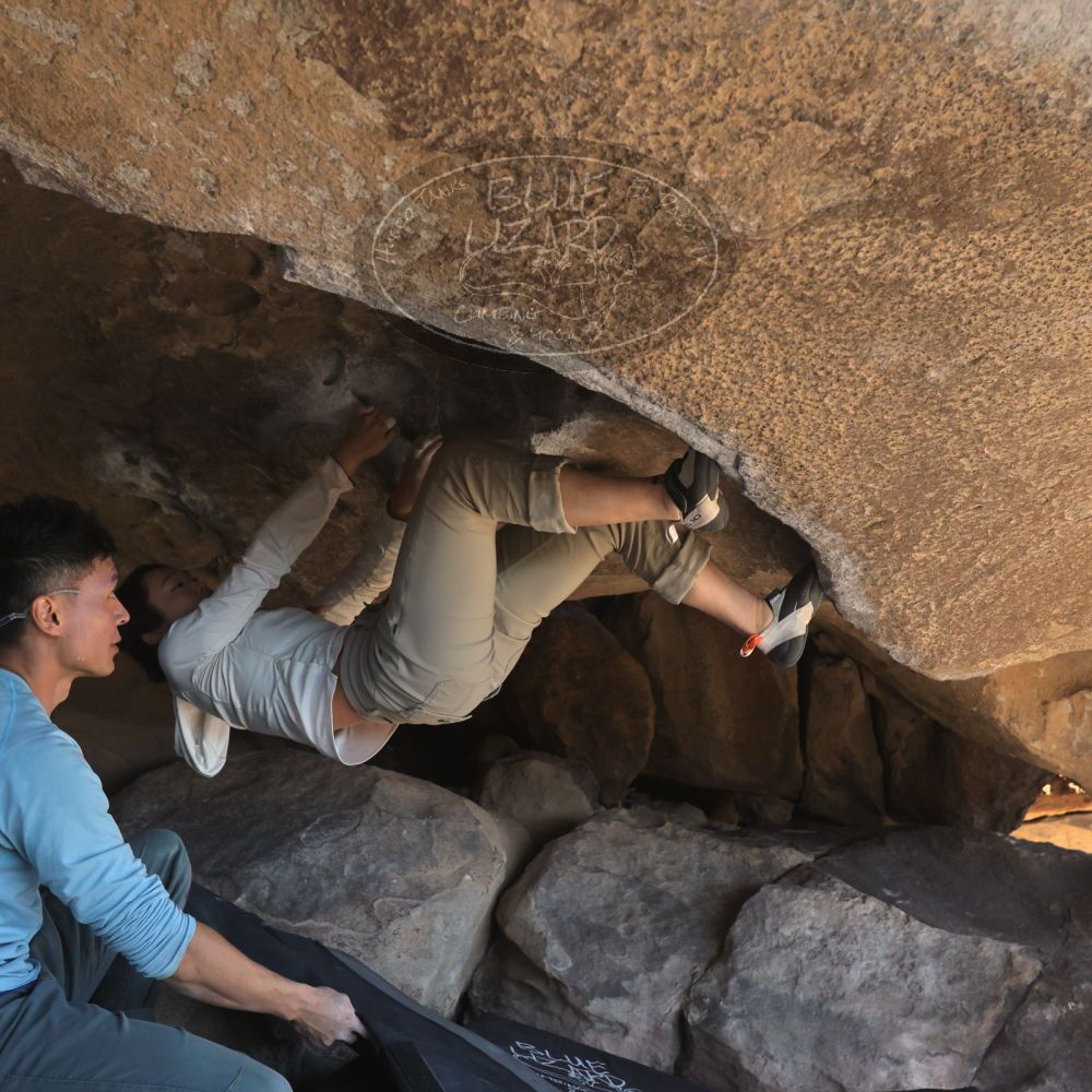 

Filename: SRM_20251110_1324020.jpg
Aperture: f/5.6
Shutter Speed: 1/500
Body: Canon EOS R6
Lens: Canon EF 16-35mm f/2.8 L