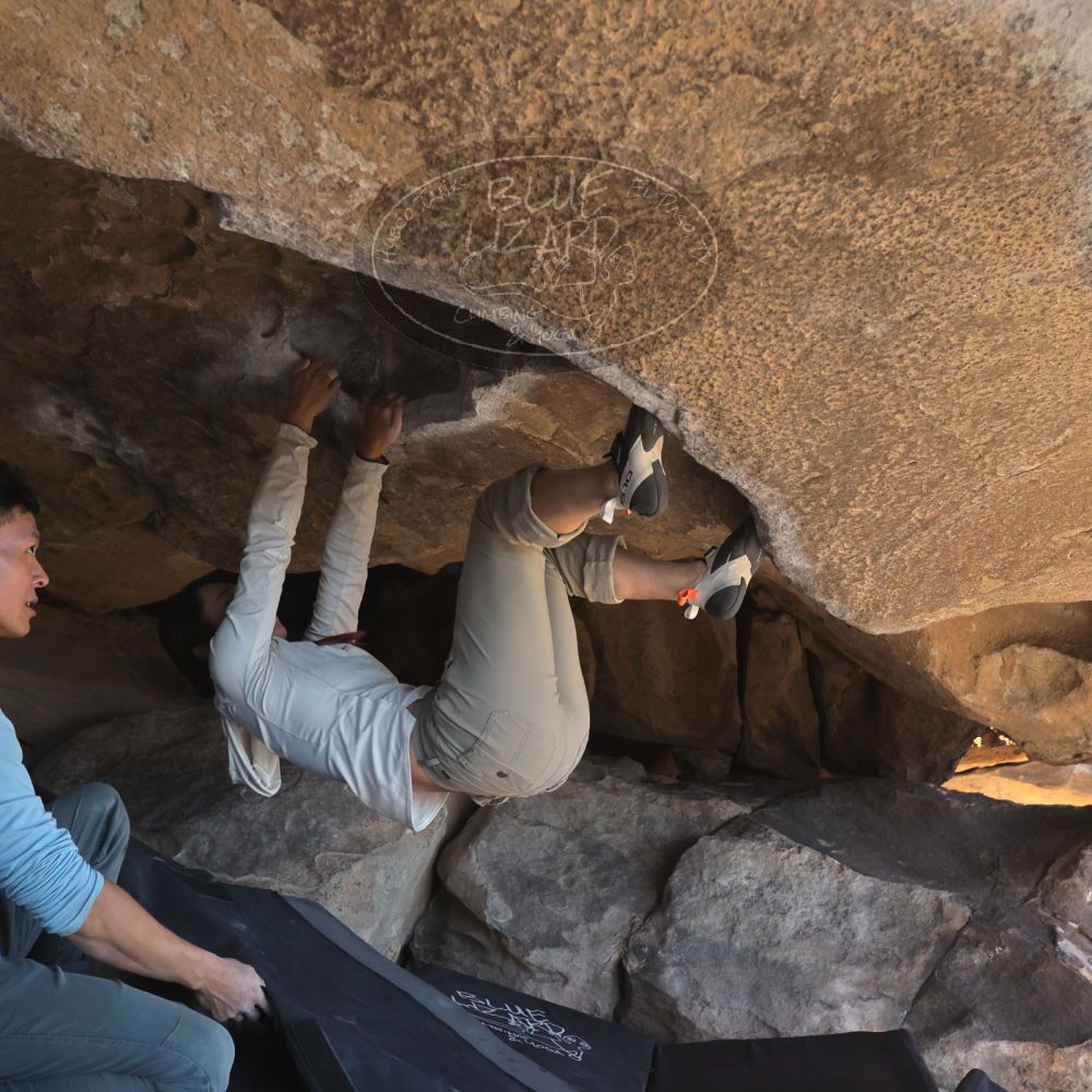 

Filename: SRM_20251110_1324021.jpg
Aperture: f/5.6
Shutter Speed: 1/500
Body: Canon EOS R6
Lens: Canon EF 16-35mm f/2.8 L