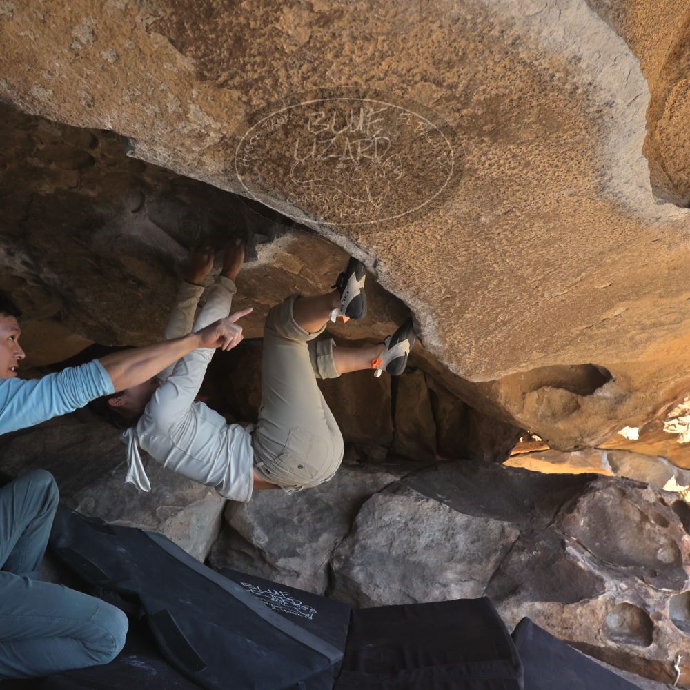 

Filename: SRM_20251110_1324030.jpg
Aperture: f/5.6
Shutter Speed: 1/500
Body: Canon EOS R6
Lens: Canon EF 16-35mm f/2.8 L