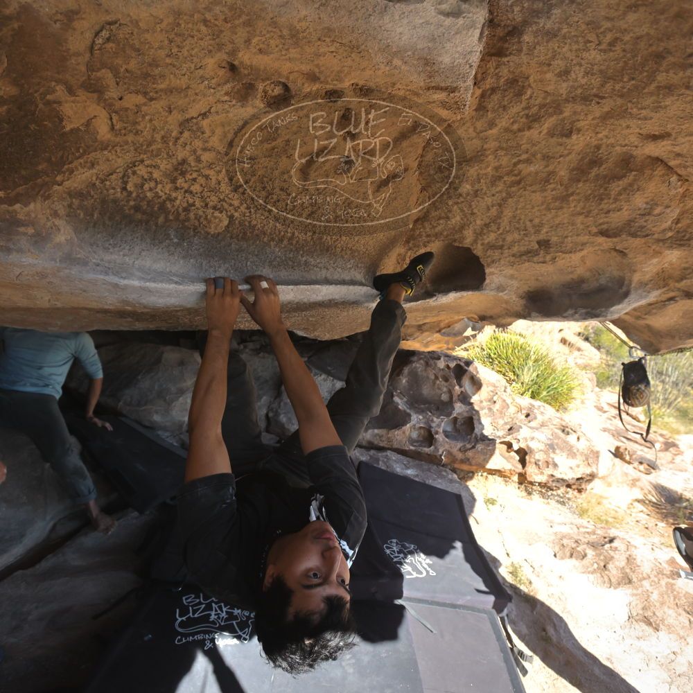 

Filename: SRM_20251110_1329430.jpg
Aperture: f/5.6
Shutter Speed: 1/500
Body: Canon EOS R6
Lens: Canon EF 16-35mm f/2.8 L