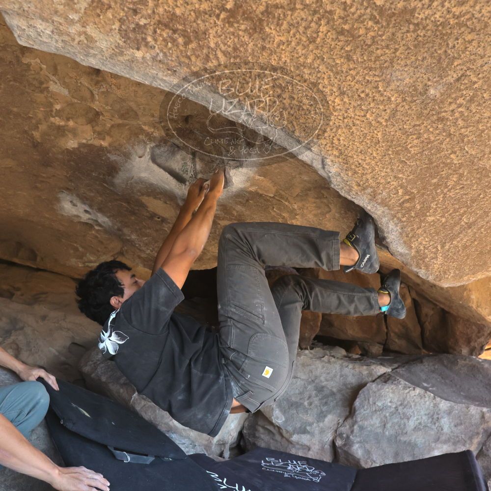 

Filename: SRM_20251110_1341280.jpg
Aperture: f/5.6
Shutter Speed: 1/500
Body: Canon EOS R6
Lens: Canon EF 16-35mm f/2.8 L