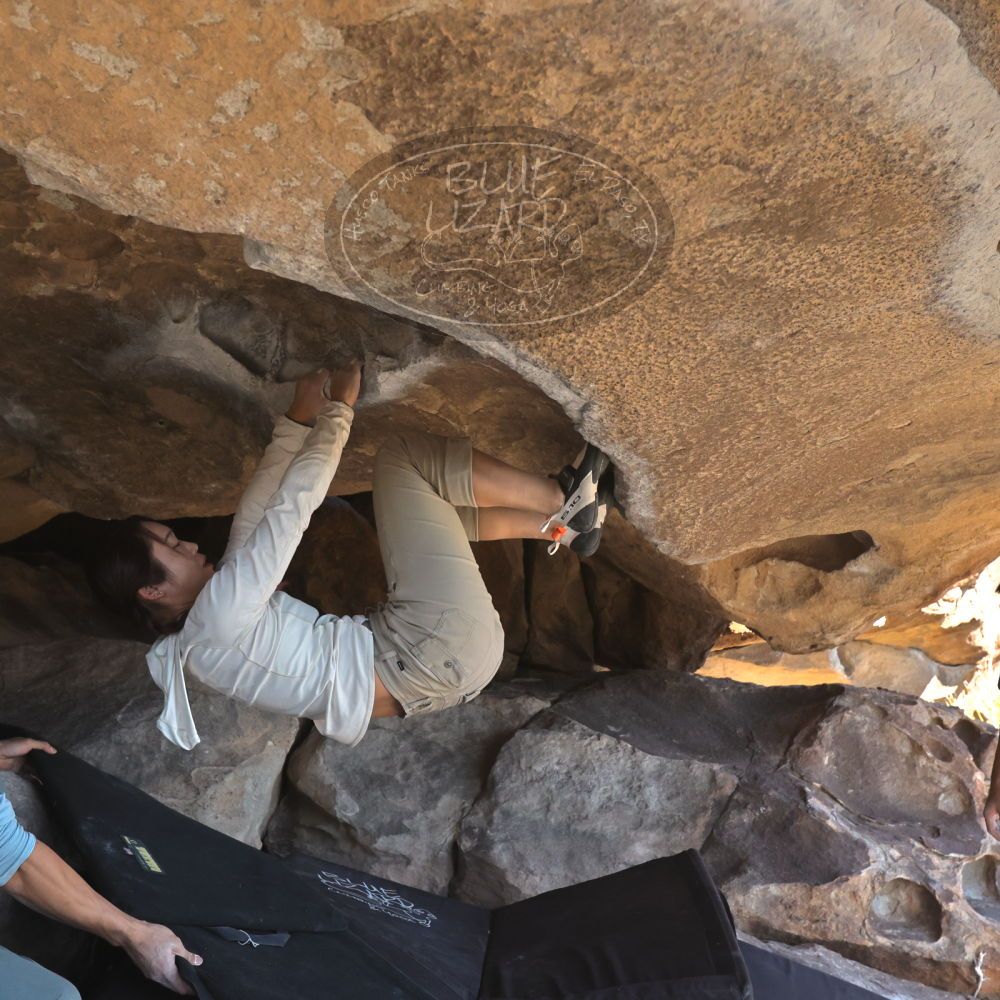 

Filename: SRM_20251110_1346410.jpg
Aperture: f/5.6
Shutter Speed: 1/500
Body: Canon EOS R6
Lens: Canon EF 16-35mm f/2.8 L