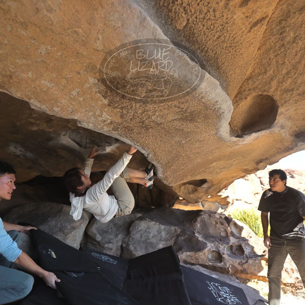 

Filename: SRM_20251110_1346440.jpg
Aperture: f/5.6
Shutter Speed: 1/500
Body: Canon EOS R6
Lens: Canon EF 16-35mm f/2.8 L