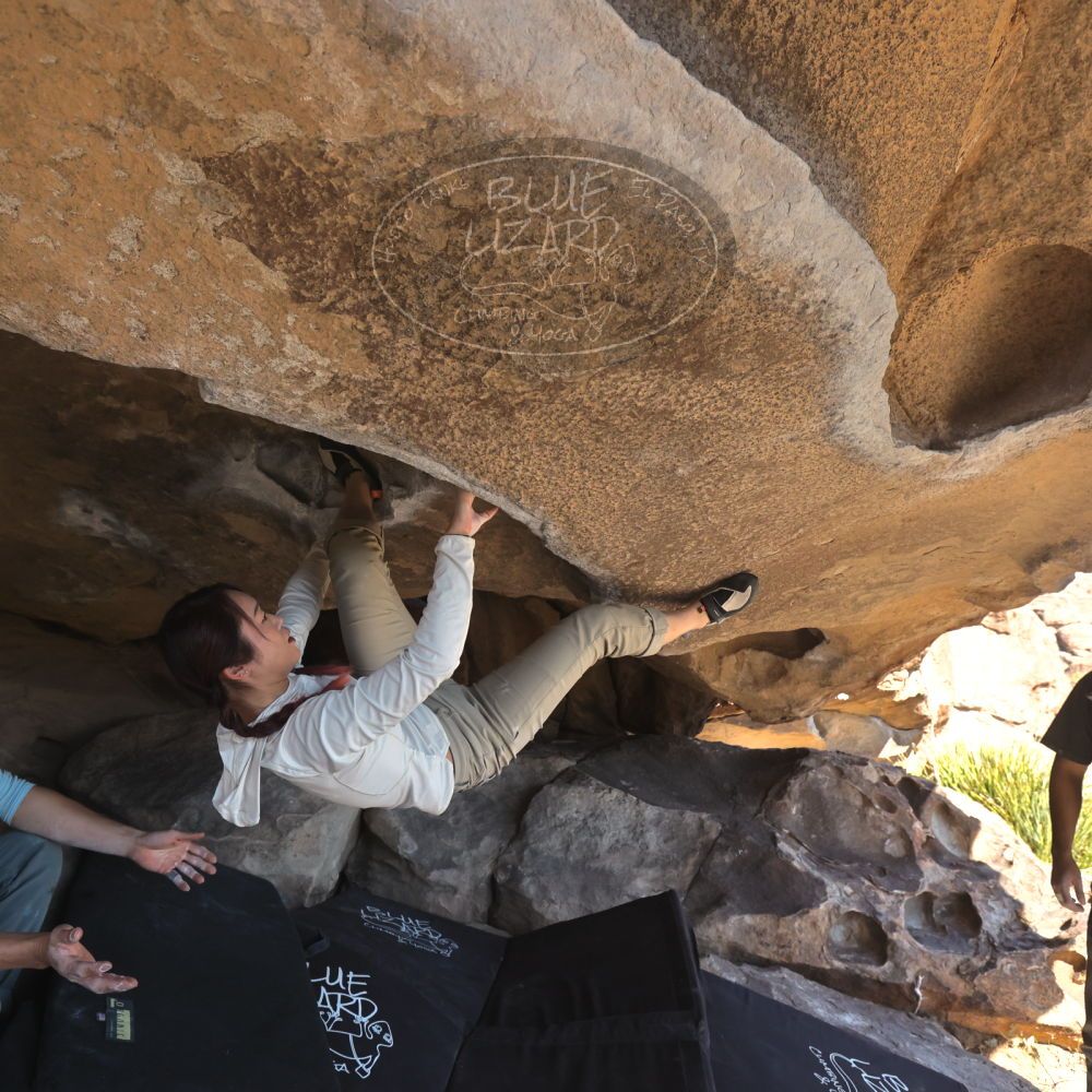 

Filename: SRM_20251110_1346590.jpg
Aperture: f/5.6
Shutter Speed: 1/500
Body: Canon EOS R6
Lens: Canon EF 16-35mm f/2.8 L