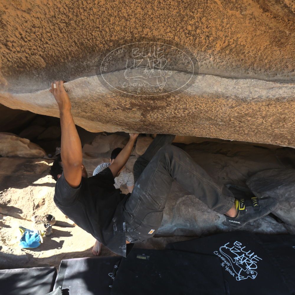 

Filename: SRM_20251110_1414070.jpg
Aperture: f/5.6
Shutter Speed: 1/500
Body: Canon EOS R6
Lens: Canon EF 16-35mm f/2.8 L