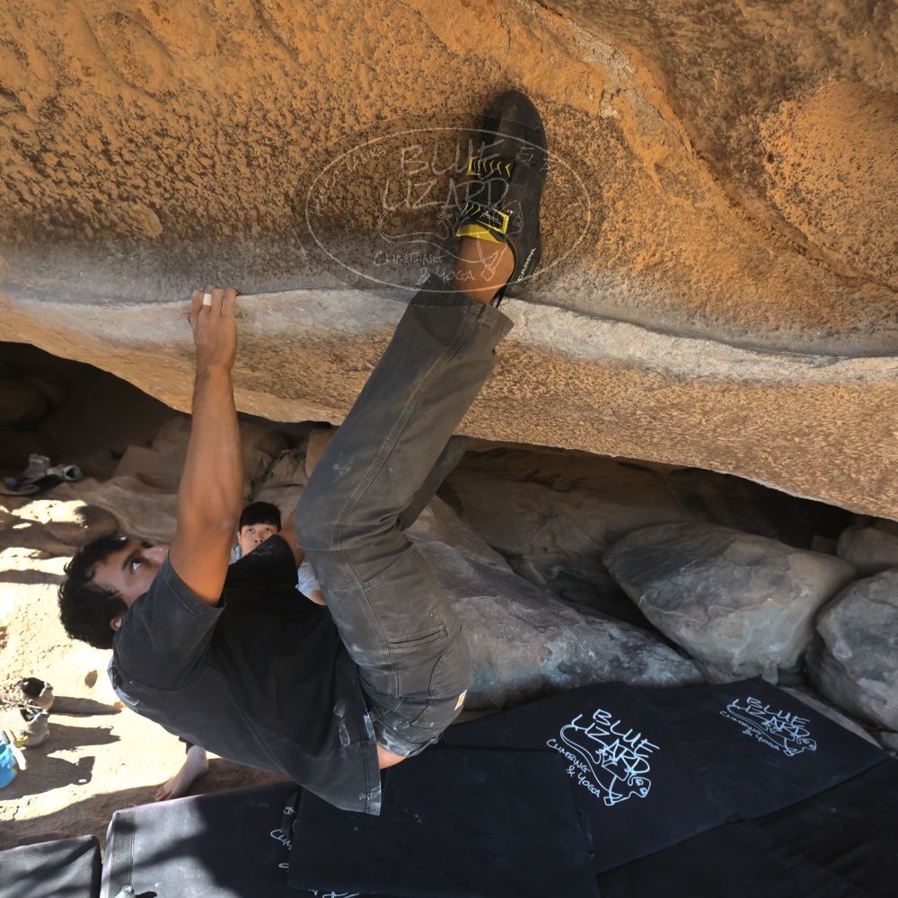 

Filename: SRM_20251110_1414090.jpg
Aperture: f/5.6
Shutter Speed: 1/500
Body: Canon EOS R6
Lens: Canon EF 16-35mm f/2.8 L