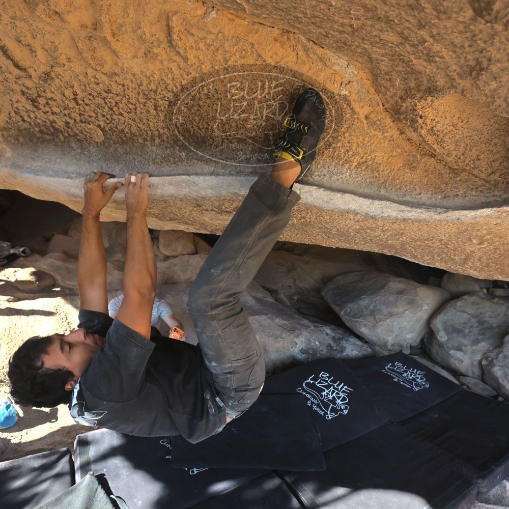 

Filename: SRM_20251110_1414091.jpg
Aperture: f/5.6
Shutter Speed: 1/500
Body: Canon EOS R6
Lens: Canon EF 16-35mm f/2.8 L