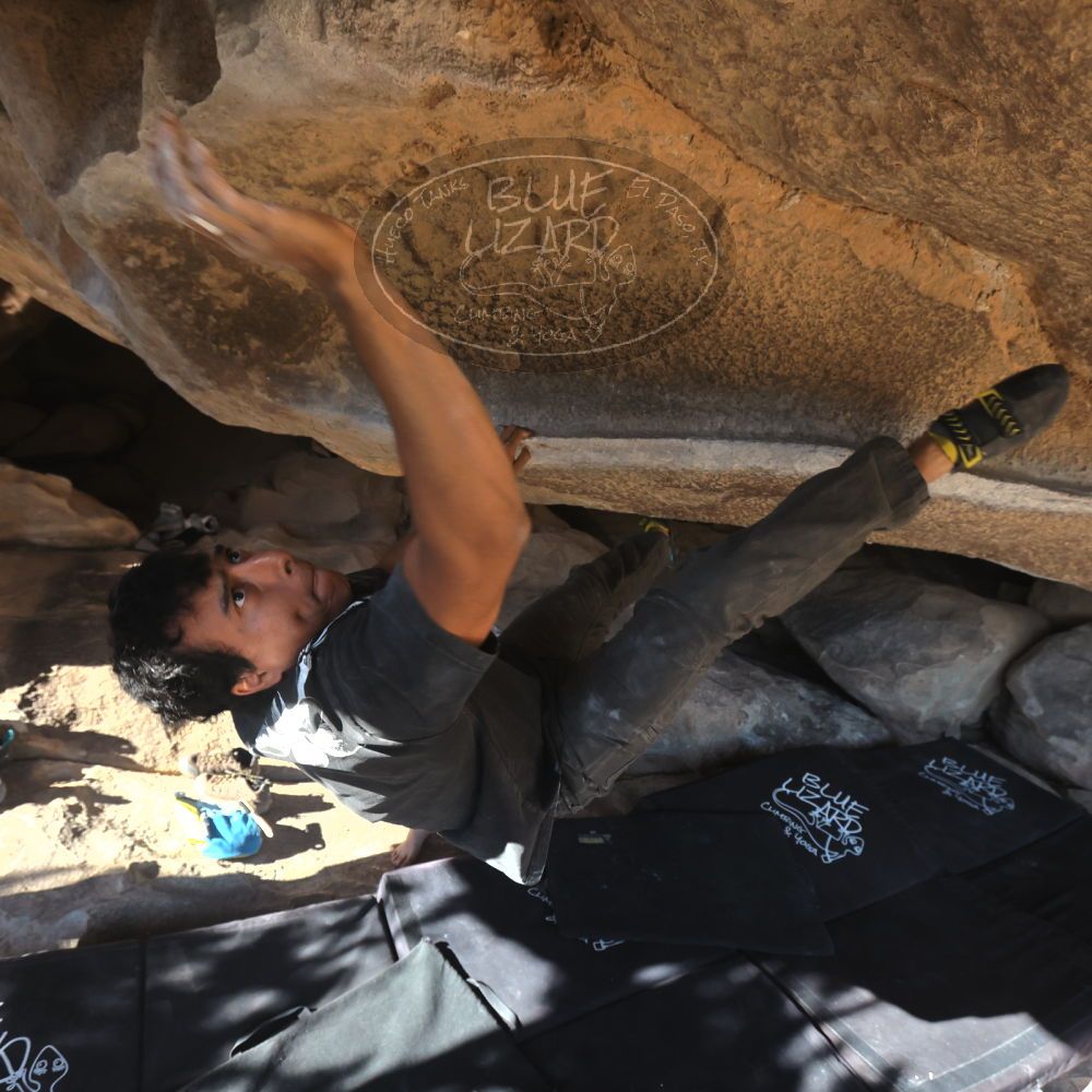 

Filename: SRM_20251110_1414190.jpg
Aperture: f/5.6
Shutter Speed: 1/500
Body: Canon EOS R6
Lens: Canon EF 16-35mm f/2.8 L