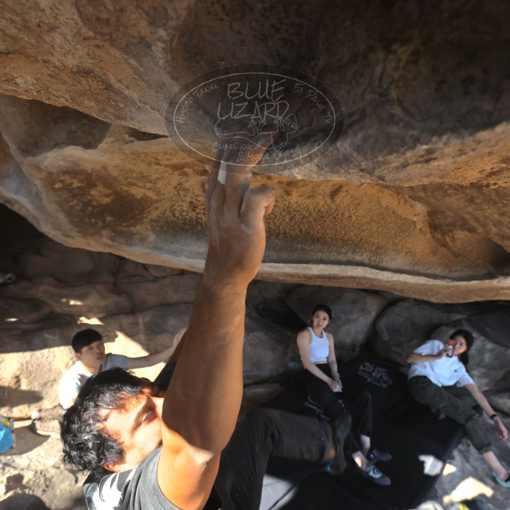 

Filename: SRM_20251110_1425142.jpg
Aperture: f/5.6
Shutter Speed: 1/500
Body: Canon EOS R6
Lens: Canon EF 16-35mm f/2.8 L