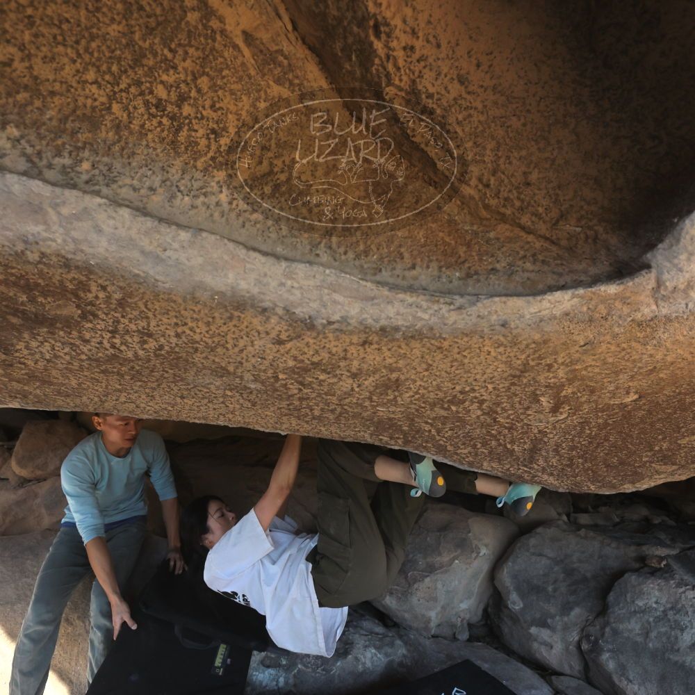 

Filename: SRM_20251110_1438050.jpg
Aperture: f/5.6
Shutter Speed: 1/500
Body: Canon EOS R6
Lens: Canon EF 16-35mm f/2.8 L