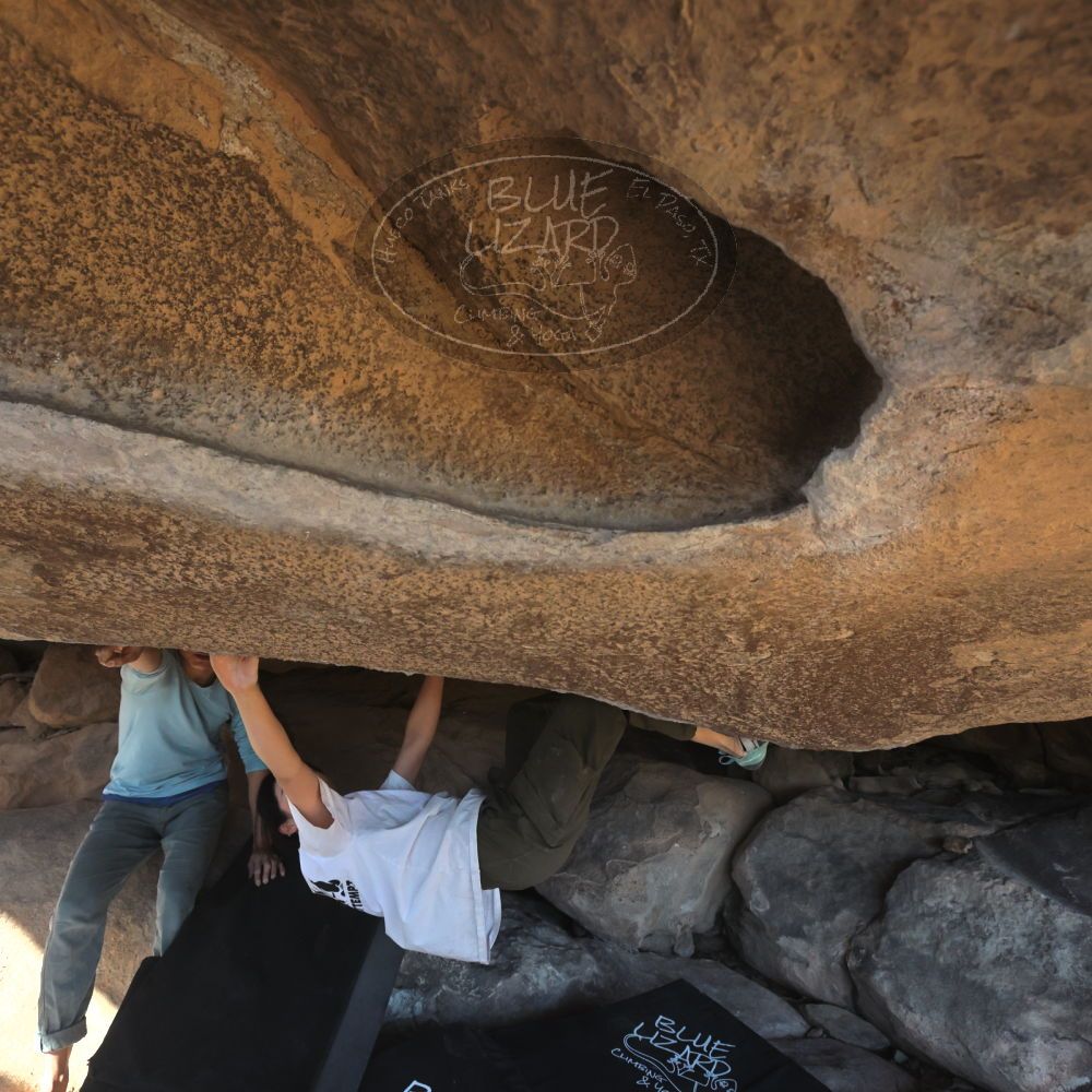 

Filename: SRM_20251110_1438120.jpg
Aperture: f/5.6
Shutter Speed: 1/500
Body: Canon EOS R6
Lens: Canon EF 16-35mm f/2.8 L