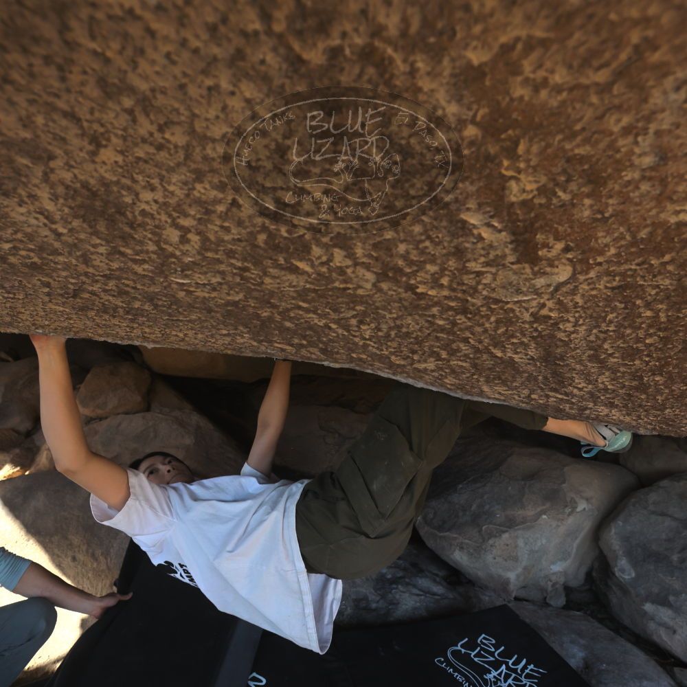 

Filename: SRM_20251110_1439120.jpg
Aperture: f/5.6
Shutter Speed: 1/500
Body: Canon EOS R6
Lens: Canon EF 16-35mm f/2.8 L