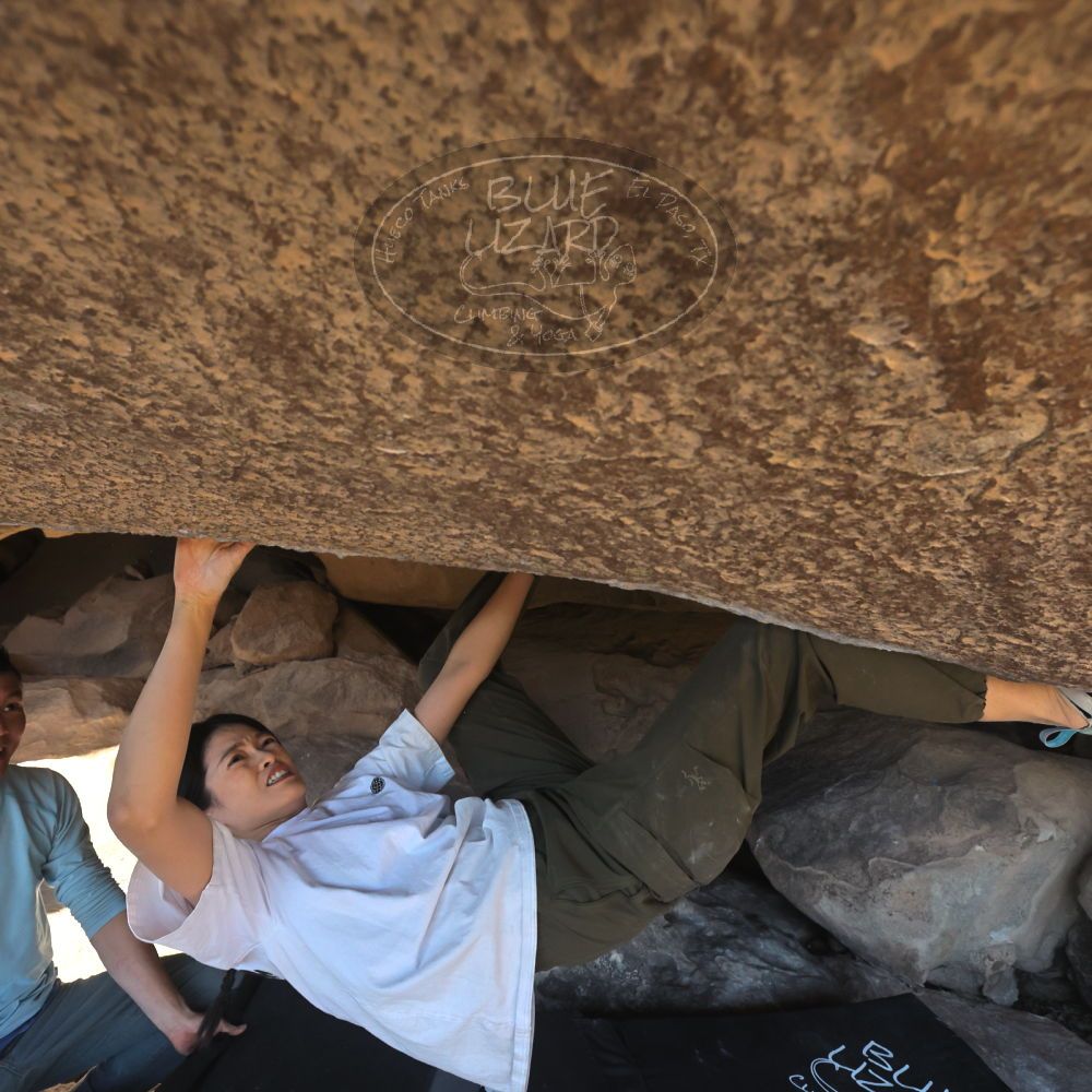 

Filename: SRM_20251110_1439170.jpg
Aperture: f/5.6
Shutter Speed: 1/500
Body: Canon EOS R6
Lens: Canon EF 16-35mm f/2.8 L