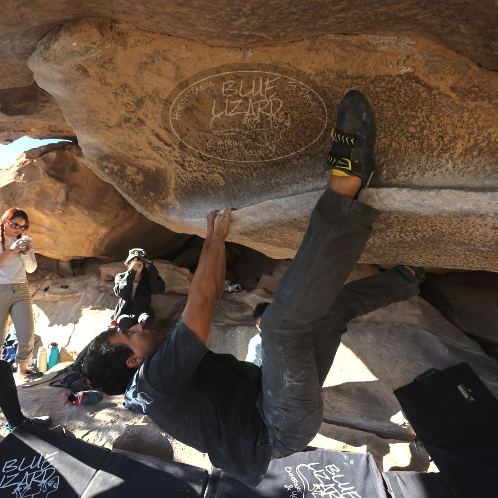 

Filename: SRM_20251110_1442110.jpg
Aperture: f/5.6
Shutter Speed: 1/500
Body: Canon EOS R6
Lens: Canon EF 16-35mm f/2.8 L